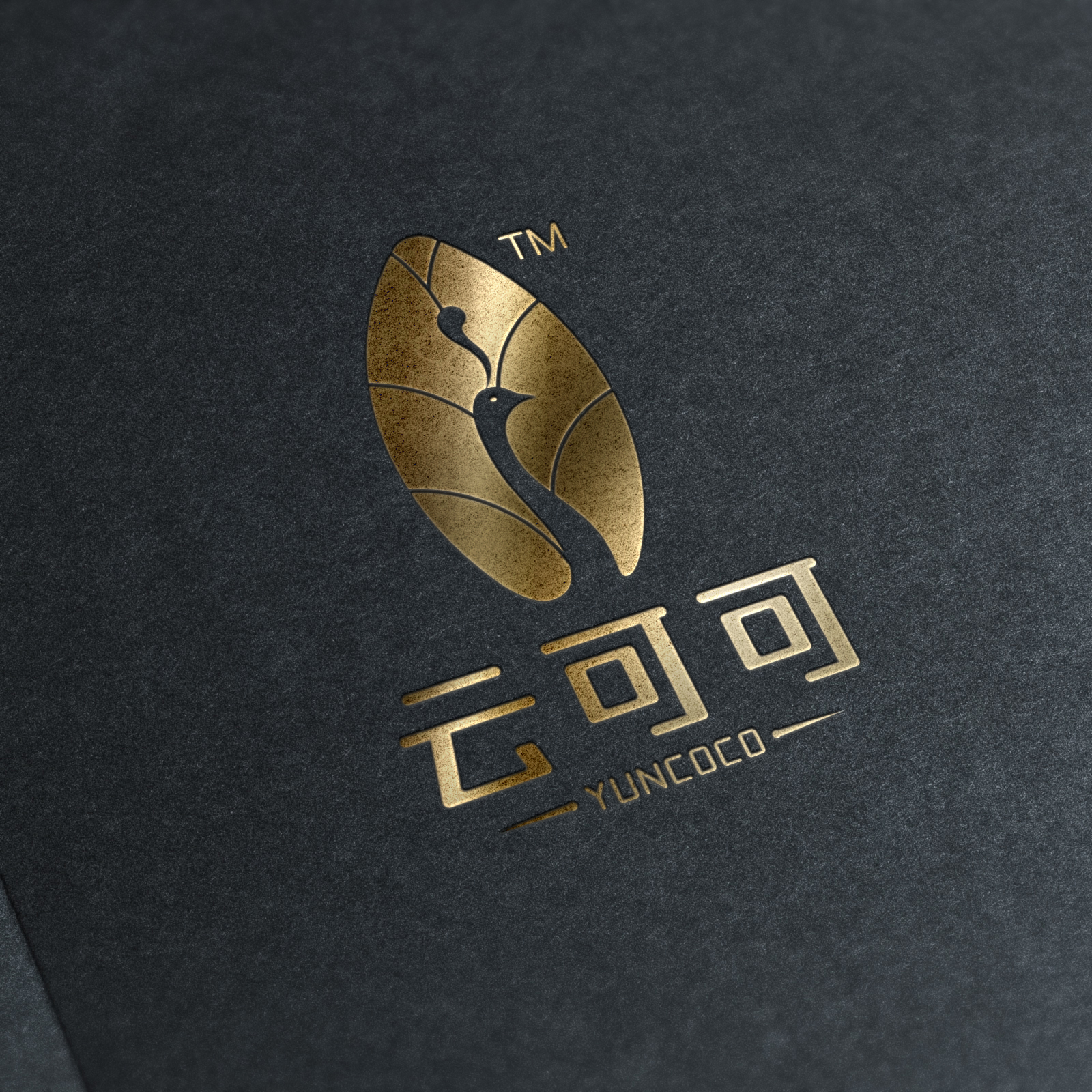云可可logo设计