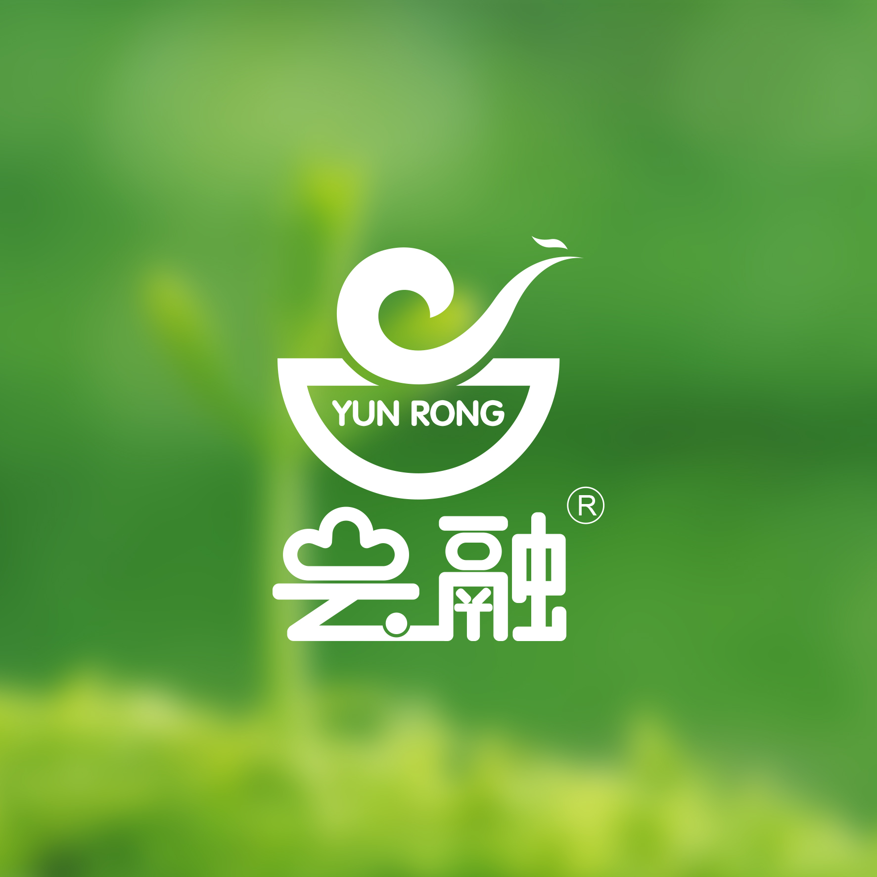 云融logo设计