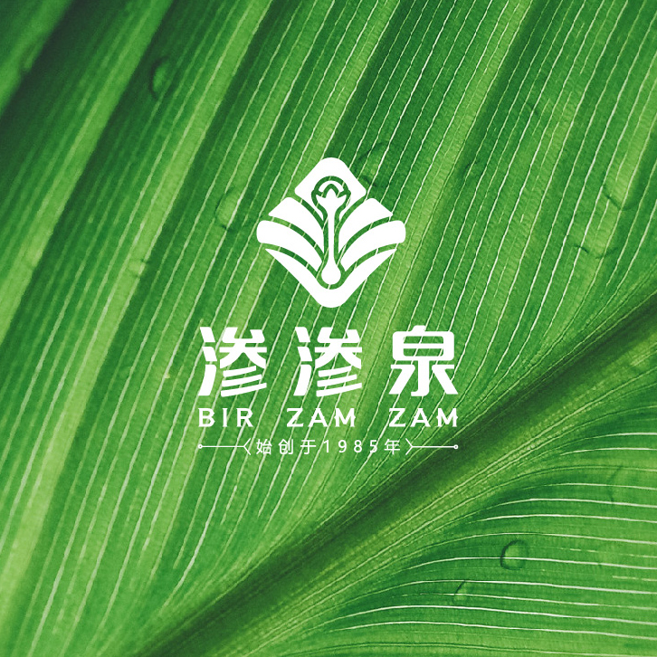 云南渗渗泉调味食品有限公司logo设计